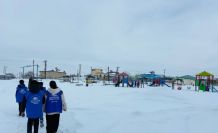 Diyadin’de gençlerden sokak hayvanlarına anlamlı destek