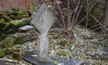 Edirne’de ilginç manzara: Osmanlı dönemi kabri apartman bahçesinde kaldı