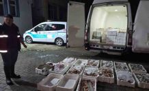 Kastamonu’da yasa dışı avlanan 1,5 ton balığa el konuldu