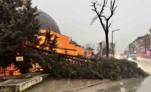 Edirne’de fırtına ağaçları devirdi