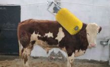 IPARD III ile Erzincan tarımına 178 milyon TL’lik yatırım desteği