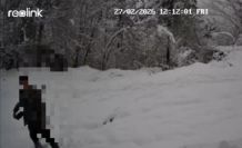 Kaçak avlanan şahıs fotokapana yakalandı