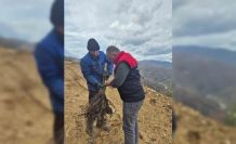 Kestane üretimi arttırılacak