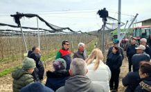 Lüleburgaz’da üreticilere uygulamalı budama eğitimi