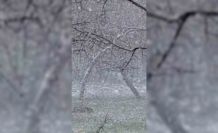 Mudurnu’da lapa lapa kar yağışı etkili oldu