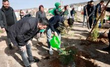Nevşehir’de binlerce fidan toplarla buluştu