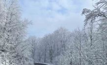 Ordu’nun yüksek kesimlerinde kar manzarası