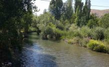 Tohma Çayı’nın ekolojik sağlığı bilimsel olarak ortaya kondu