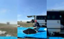 Beypazarı’nda çörek otu ekimi başladı