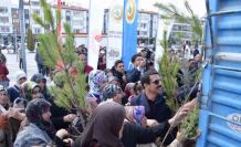 Karapınar’da ağaçlandırma etkinliği
