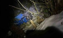 Kastamonu’da ’patpat’ kazası: 1 ölü, 1 ağır yaralı