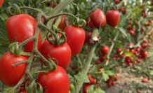 ATB mart ayı hal endeksini açıkladı