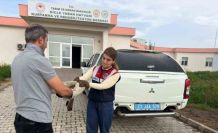Diyarbakır’da yaralı bulunan şahin tedavi altına alındı