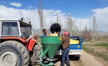 Erzincan’da verimli hayvancılık için mera çalışmaları başladı