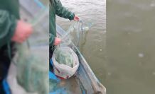 Gölde 800 metre balık ağı ele geçirildi