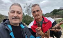 Manisa’da kuzugöbeği tutkusu engel tanımıyor