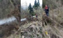Ormanlık alanda çıkan yangın büyümeden söndürüldü