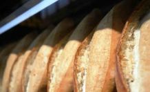 Samsun’da ekmeğe ‘zam’ sinyali