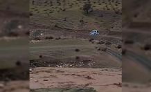 Siirt’te sağanak yağış hayvancılığı olumsuz etkiledi