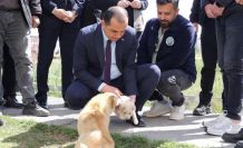 Vali Taşolar, Iğdır Geçici Hayvan Bakımevi’ni ziyaret etti