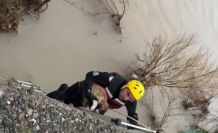 Batman Çayı’nda adacıkta mahsur kalan köpek kurtarıldı