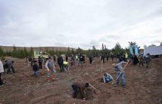 TUSAŞ şehitleri anısına binlerce fidan toprakla buluştu