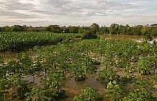 Kolombiya’da ülke genelindeki sellerde 6 kişi hayatını kaybetti