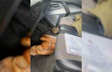 Dörtyol’da yaralı atmaca araca sığındı