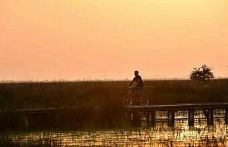 Kızılırmak Deltası Kuş Cenneti’nde bahar coşkusu