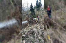 Ormanlık alanda çıkan yangın büyümeden söndürüldü