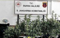 Osmangazi’de uyuşturucu operasyonu: 1 şüpheli tutuklandı