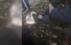 Rusya Ukrayna’da parkı vurdu: 3’ü çocuk 6 ölü
