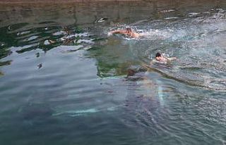 Adana’da otomobil sulama kanalına devrildi: 1 yaralı