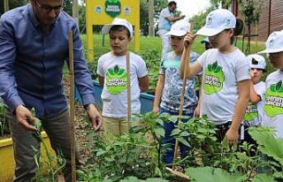 ‘Benim Bahçemin’ ilk ürünleri fide vermeye...