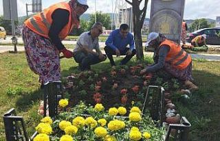 Çan’da park ve bahçeler çiçek açtı