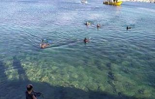 Datça’da denizden 1,5 ton çöp çıkartıldı