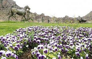 Festival alanı çiçeklerle donatılıyor