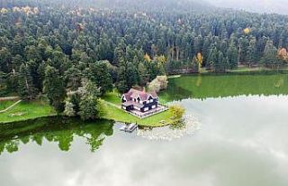 Gölcük Tabiat Parkı’ndaki bungalov evler ihaleyle...
