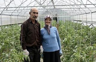 Gümüşhane’nin Çukurovası: İnkılap köyü