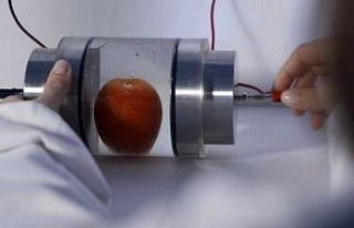 İAÜ’den “PEF” teknolojisi alanında iş birliği