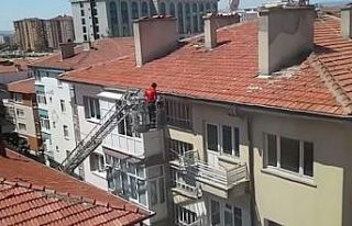 İtfaiye ekipleri güvercin ve yavru köpeğin imdadına...