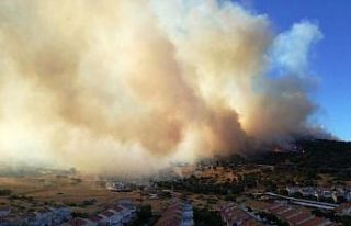 İzmir’deki orman yangını kontrol altında