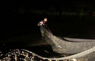 Jandarmanın balık nöbeti devam ediyor