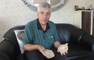 435 milyon yıllık fosil bulundu