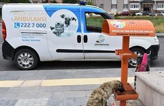 Kocasinan’da küçük dostlar için büyük hassasiyet