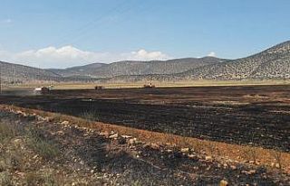 Korkuteli’nde anız ve ekin yangını