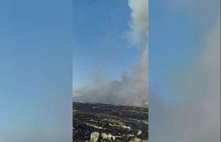 Mardin’de çıkan yangında 400 dönüm ekili arazi...