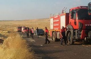 Mardin’de çıkan yangında 600 dönümlük alan...