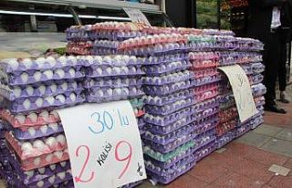 MHP Milletvekili Taytak, yumurta üreticilerinin sorunlarını...