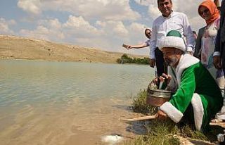 Nasreddin Hoca göle maya çaldı